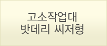 인터넷